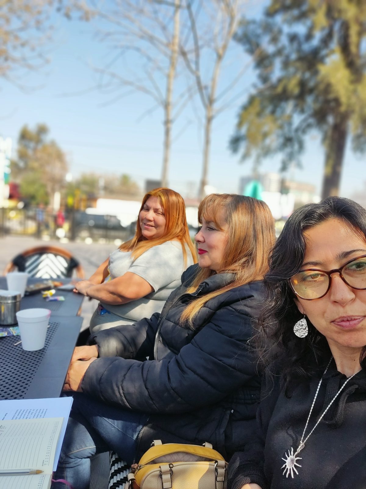 Proyecto Fosis 2025 - 2026