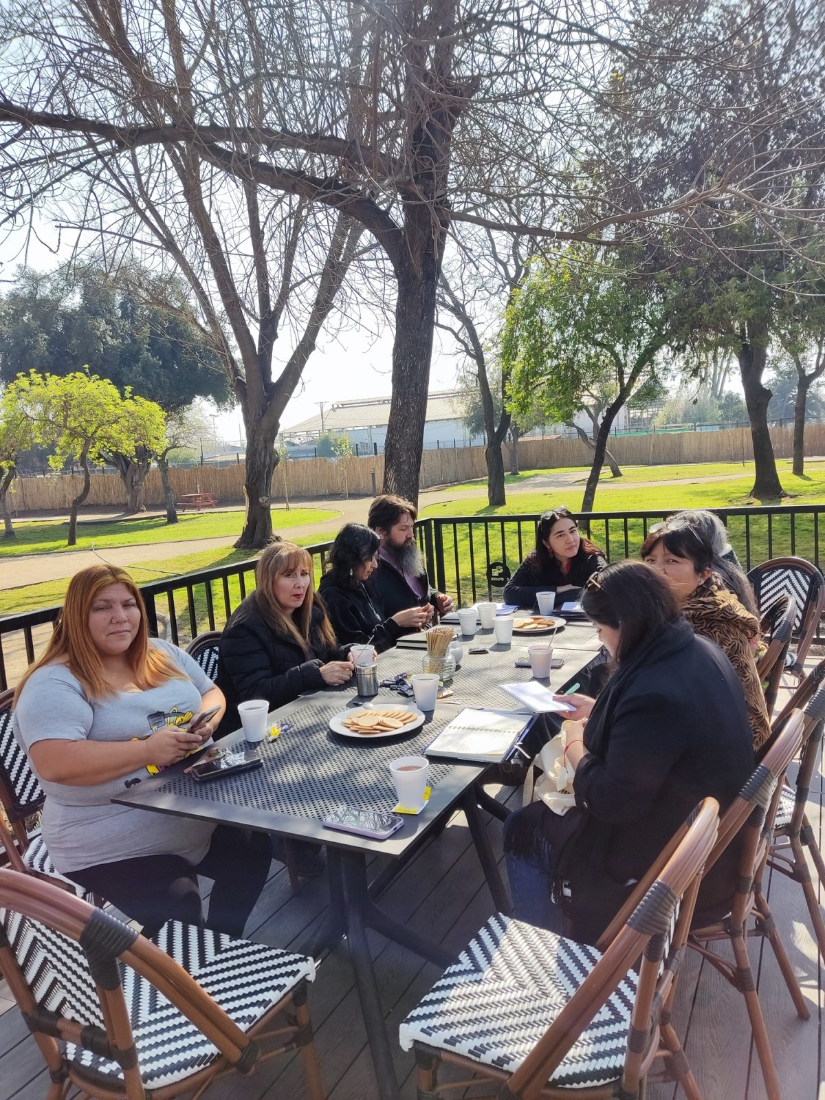 Proyecto Fosis 2025 - 2026